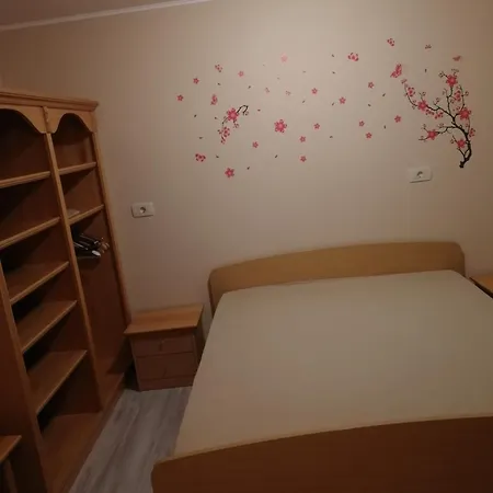 Apartma V Srcu Narave Borovnica