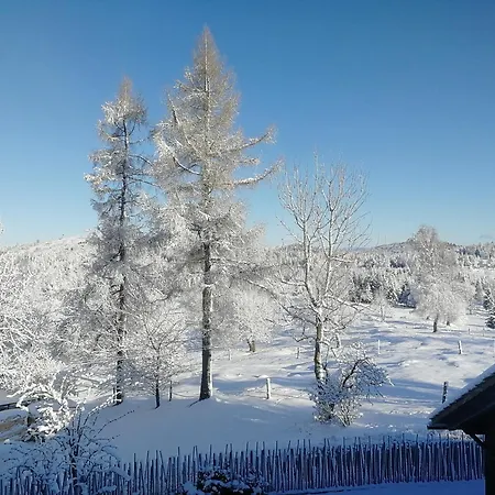 Apartma V Srcu Narave Borovnica